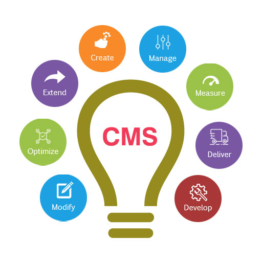 CMS Web Development Services in Delhi